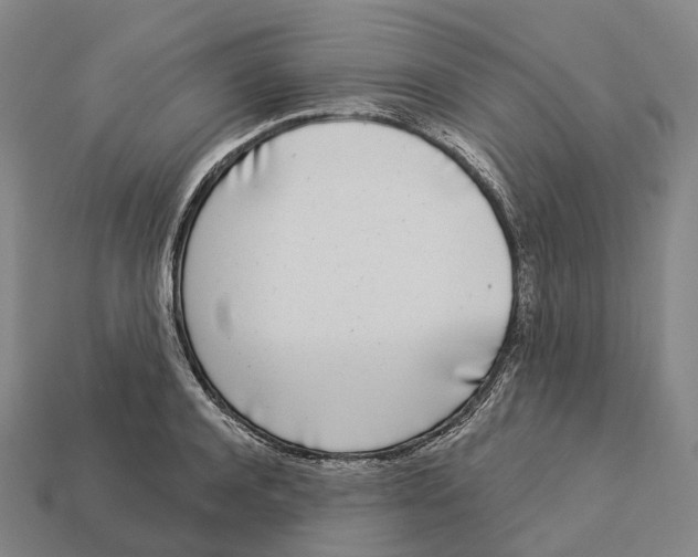 X0000113100944200909251029