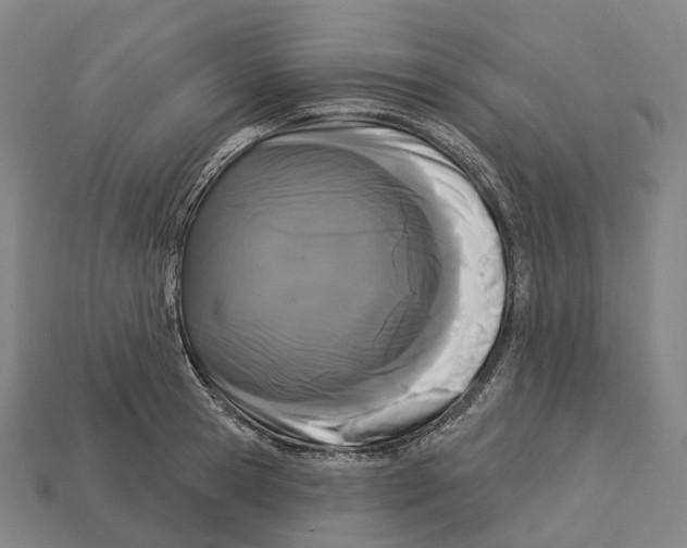X0000113100945200909251029
