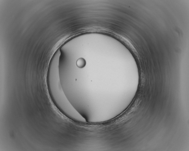 X0000113100946200909251029