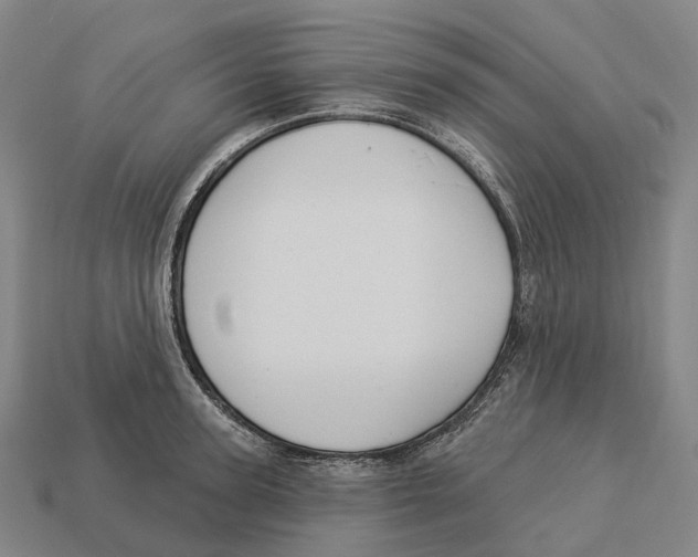 X0000113100947200909251029