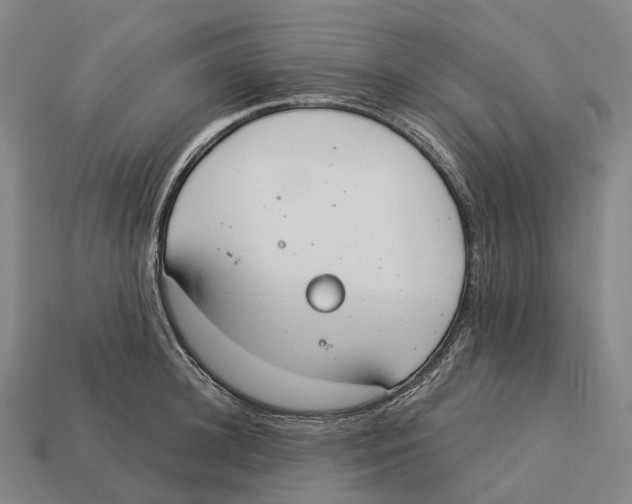 X0000113100948200909251029