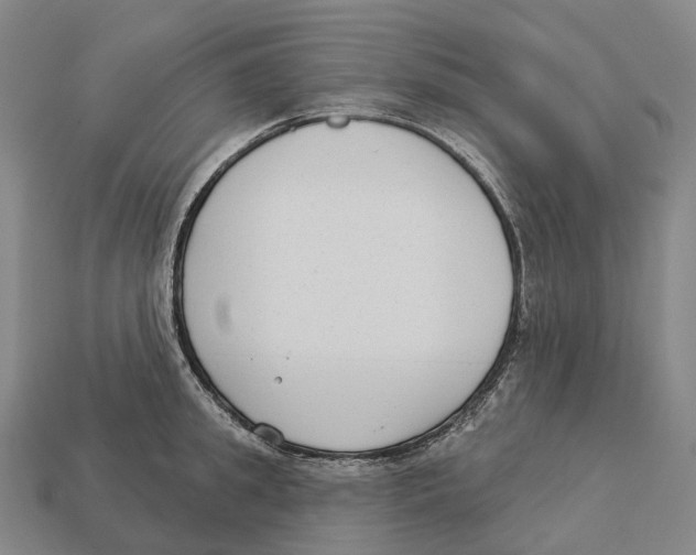 X0000113100949200909251029