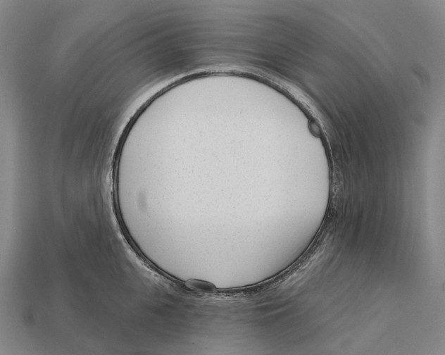 X0000113100951200909251029