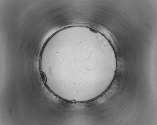 X0000113100952200909251029