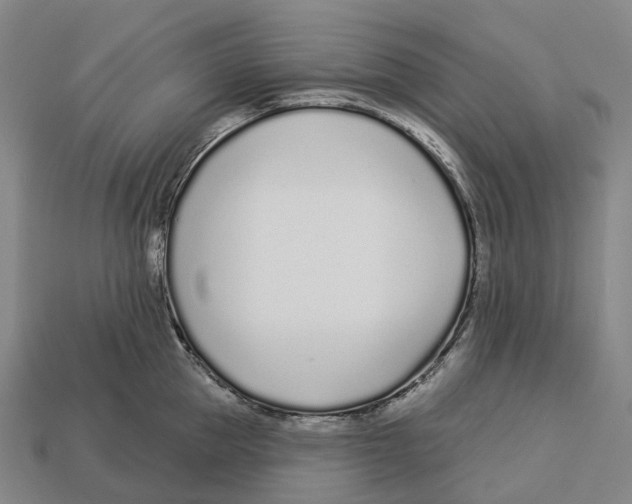 X0000113100953200909251029