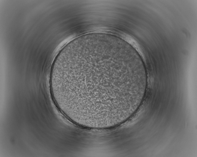 X0000113100954200909251029