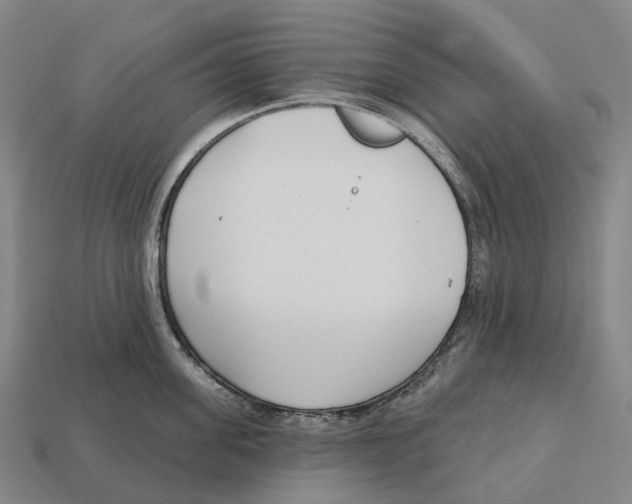 X0000113100955200909251029