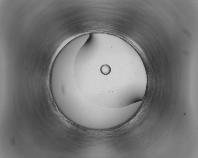 X0000113100956200909251029