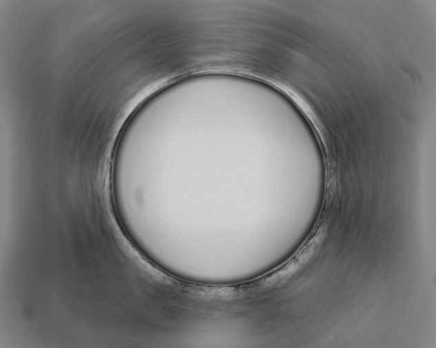 X0000113100957200909251029