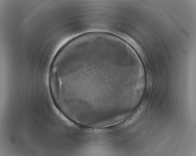 X0000113100958200909251029
