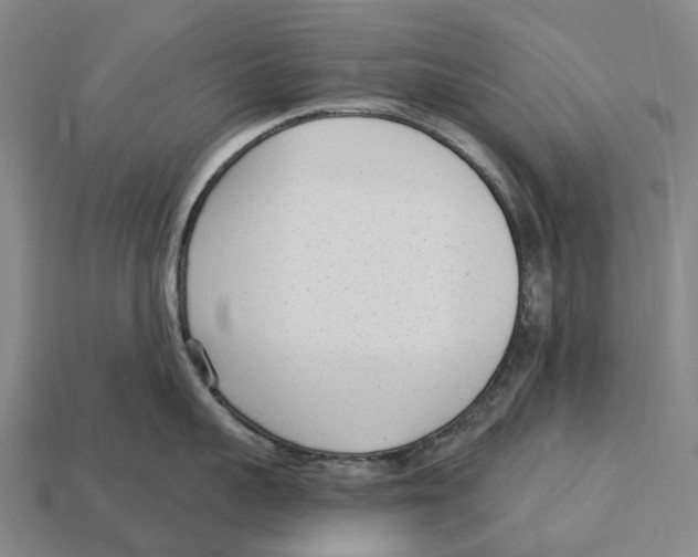 X0000113100959200909251029
