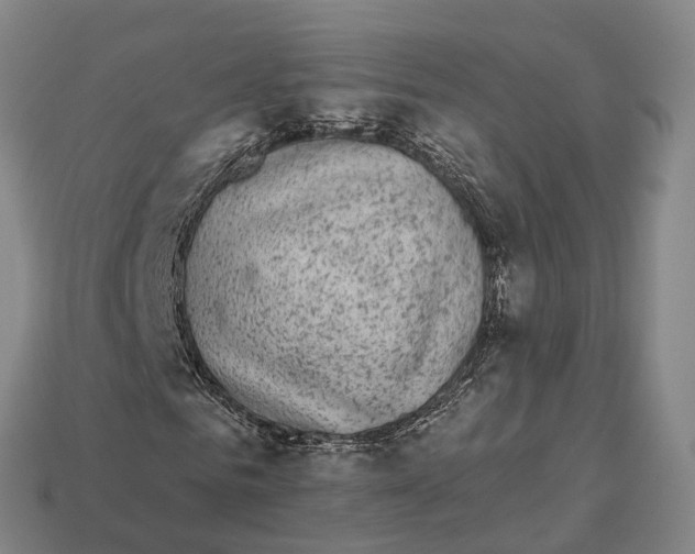 X0000113100961200909251028