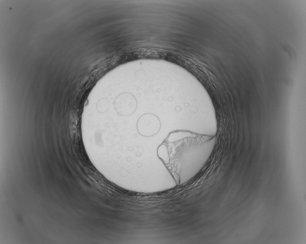X0000113100964200909251028