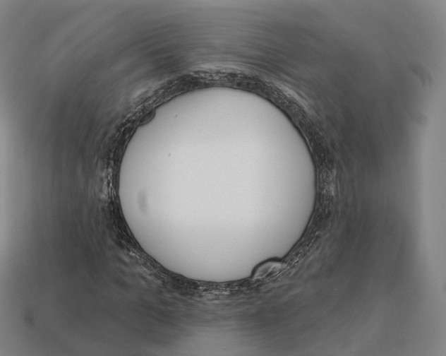 X0000113100965200909251028