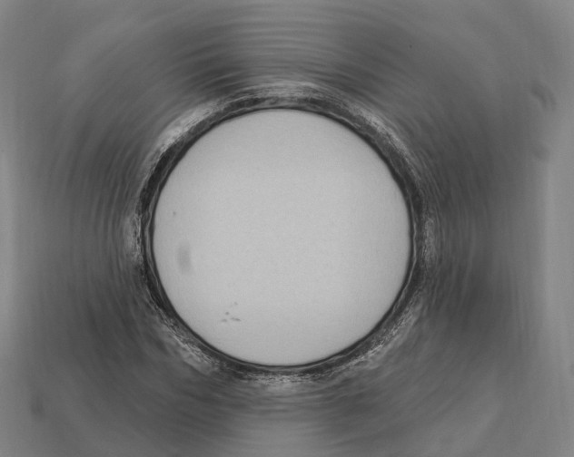 X0000113100970200909251028