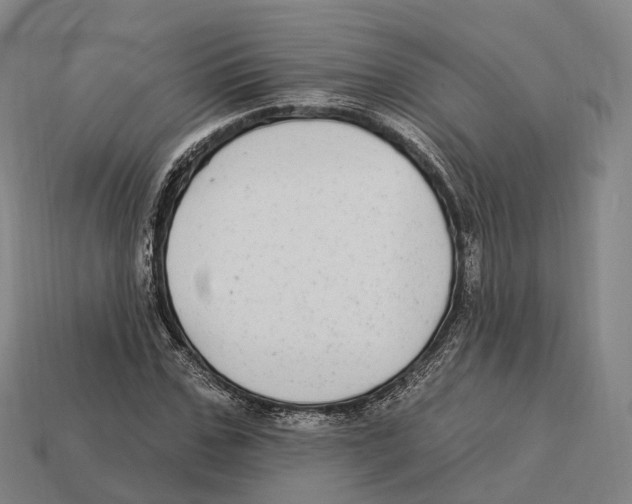 X0000113100971200909251028