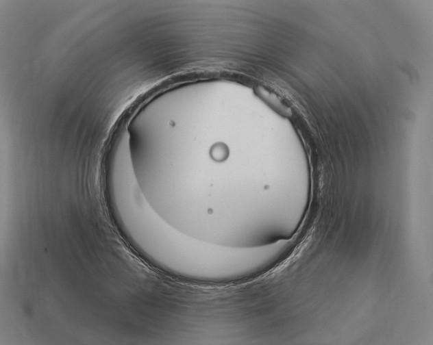 X0000113100973200909251028