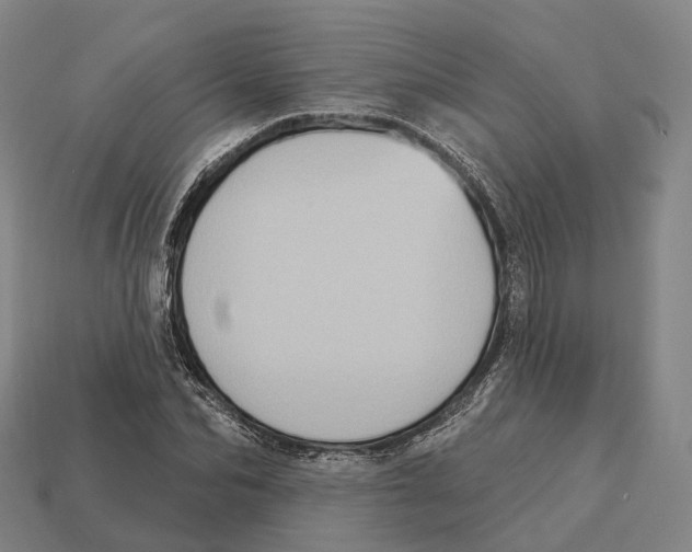 X0000113100974200909251028