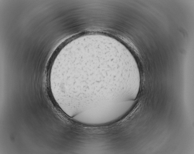 X0000113100976200909251028