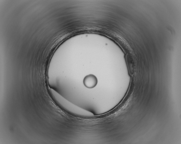 X0000113100977200909251028