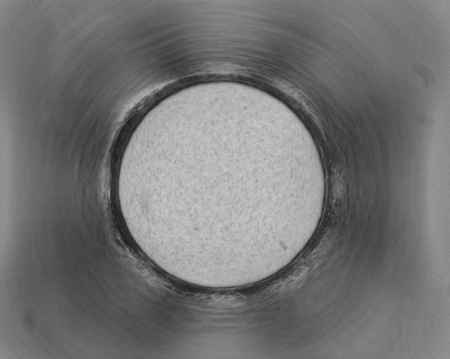 X0000113100979200909251028