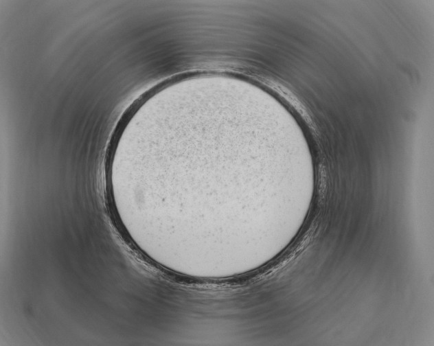 X0000113100980200909251028
