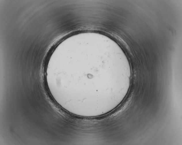 X0000113100981200909251028