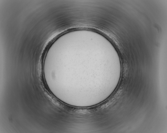 X0000113100982200909251028