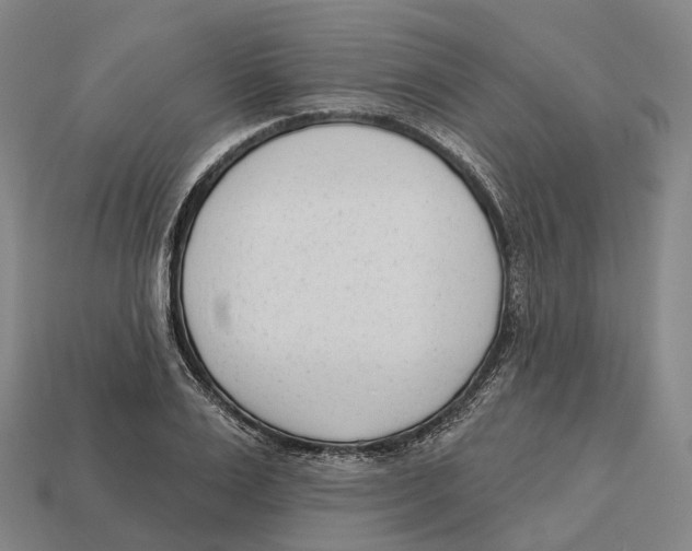 X0000113100983200909251028