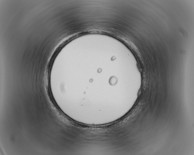 X0000113100984200909251028