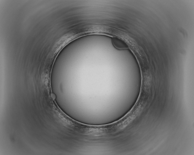 X0000113100985200909251028