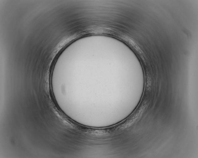 X0000113100986200909251028