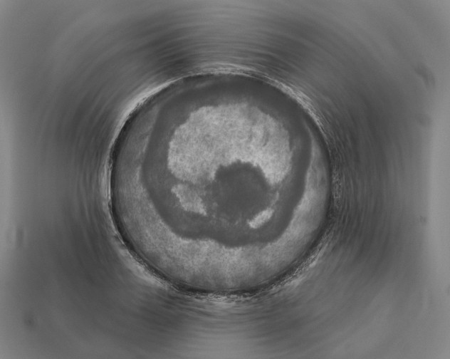 X0000113100987200909251028