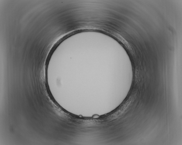 X0000113100988200909251028