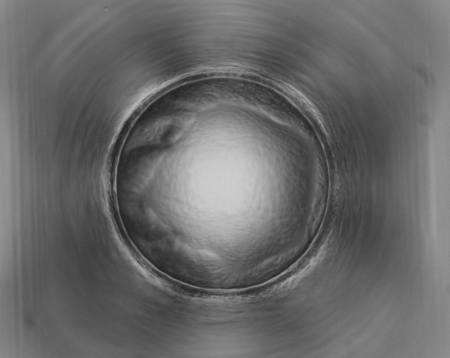 X0000113100989200909251028