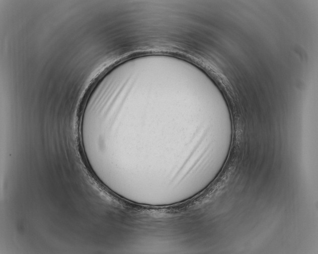 X0000113100990200909251028