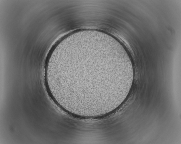 X0000113100992200909251028
