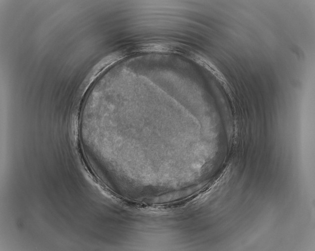 X0000113100994200909251028