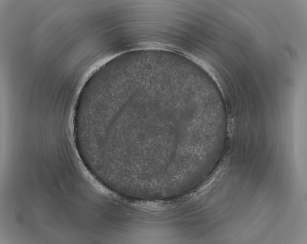 X0000113100995200909251028