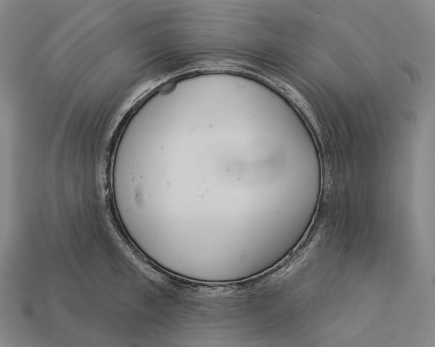 X0000113100997200909251028
