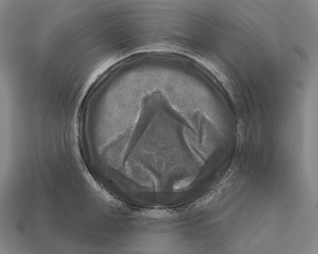 X0000113100998200909251028