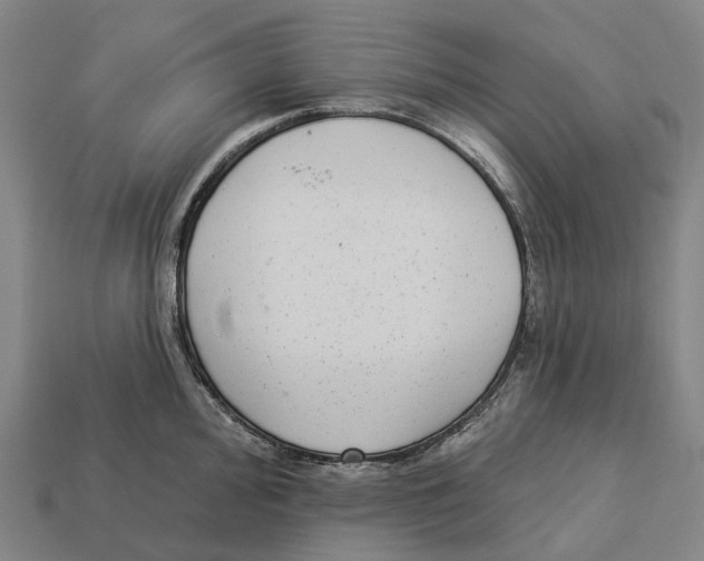 X0000113101000200909251028