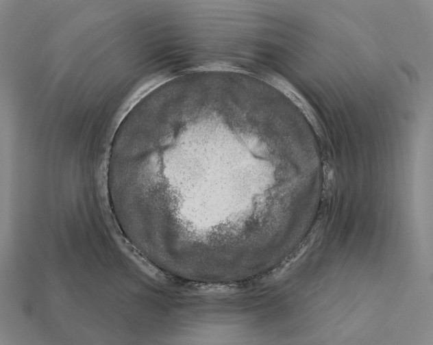 X0000113101002200909251028