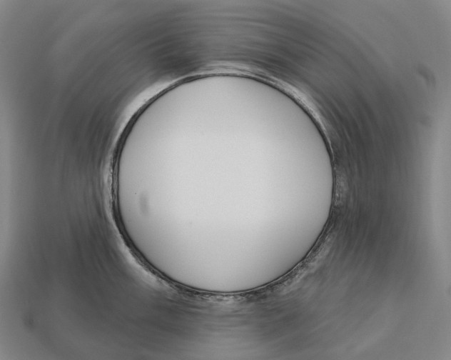 X0000113101003200909251028