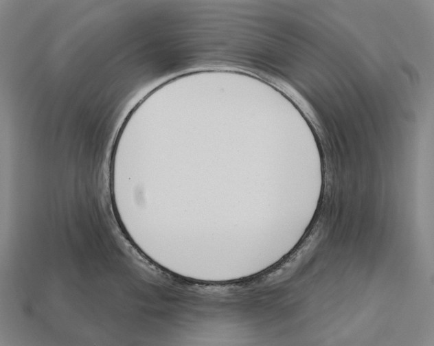 X0000113101004200909251028