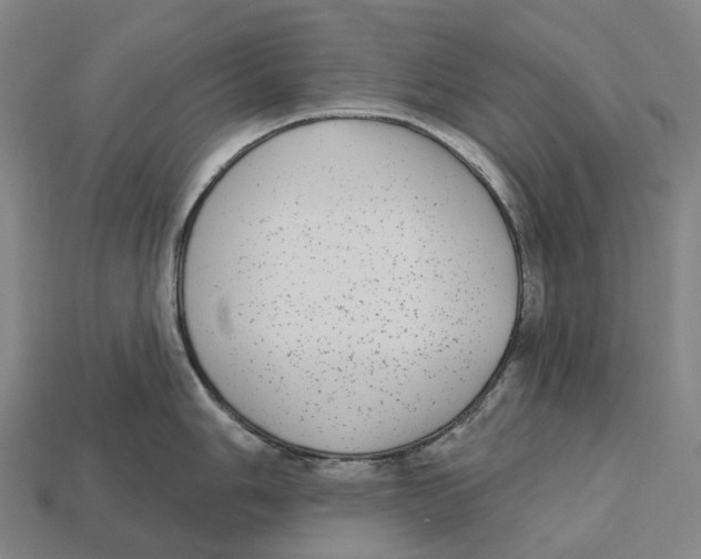 X0000113101006200909251028
