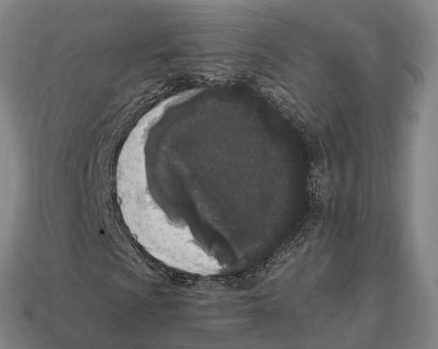 X0000113101009200909251027