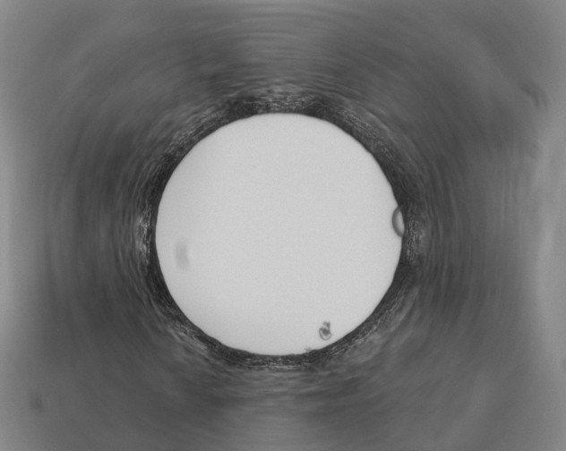X0000113101010200909251027