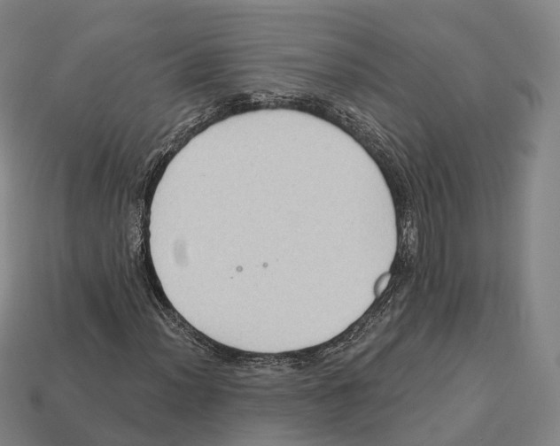 X0000113101012200909251027