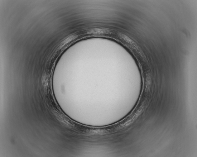 X0000113101017200909251027